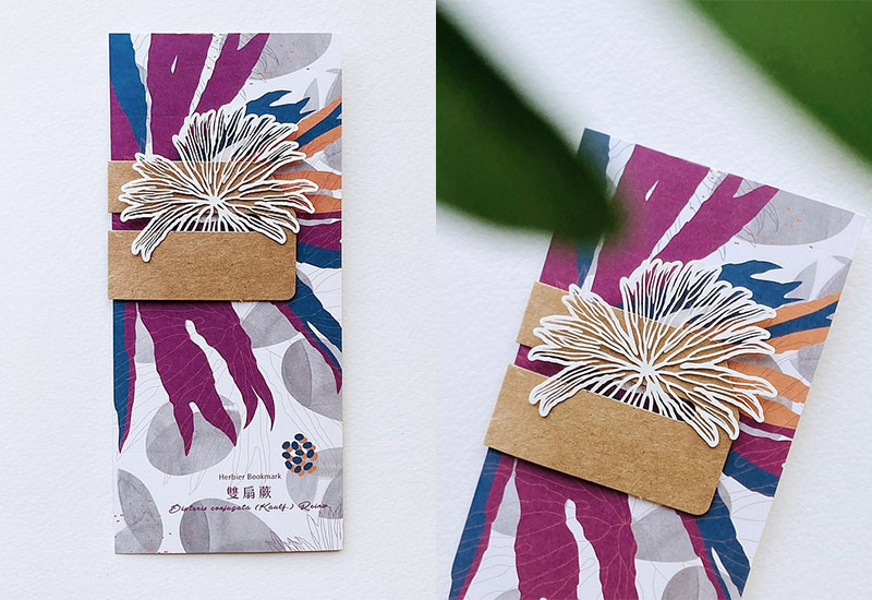 蕨類標本紙雕2.0 - 雙扇蕨 蕨類標本紙雕2.0 - 雙扇蕨